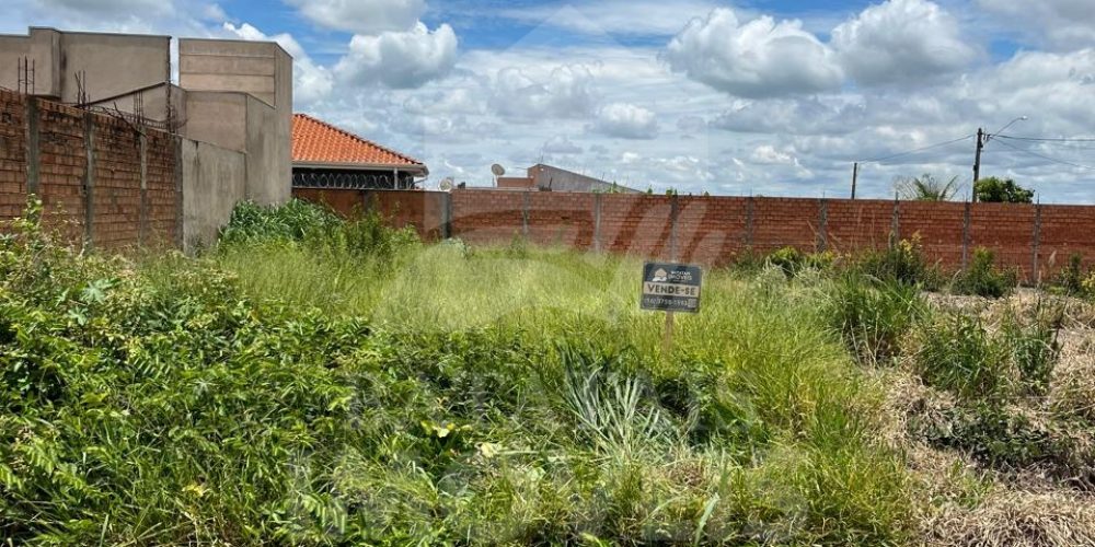 Jardim Botânico (4)