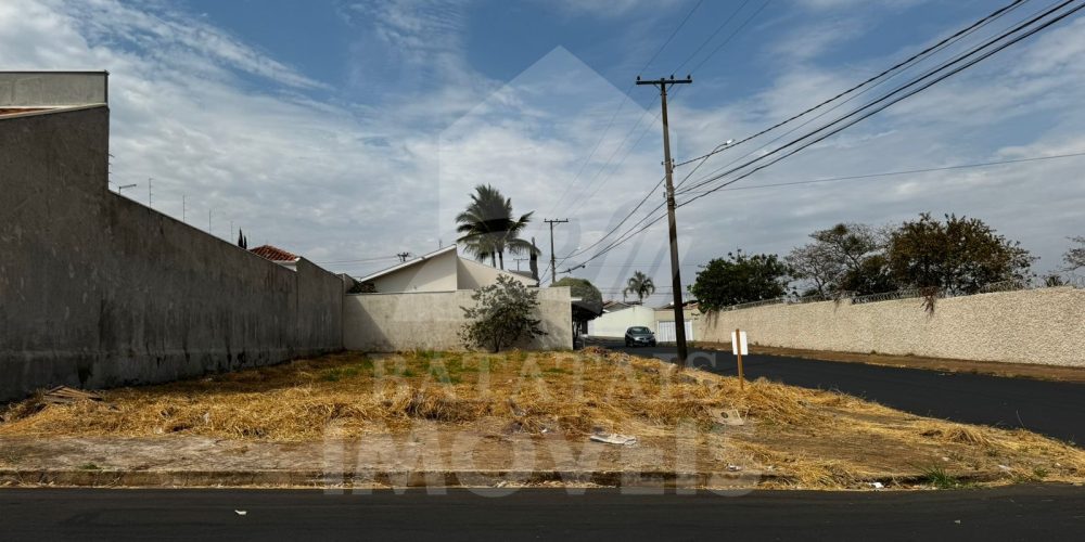 WhatsApp Image 2024-08-02 at 17.16.23