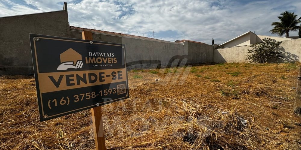 WhatsApp Image 2024-08-02 at 17.16.24